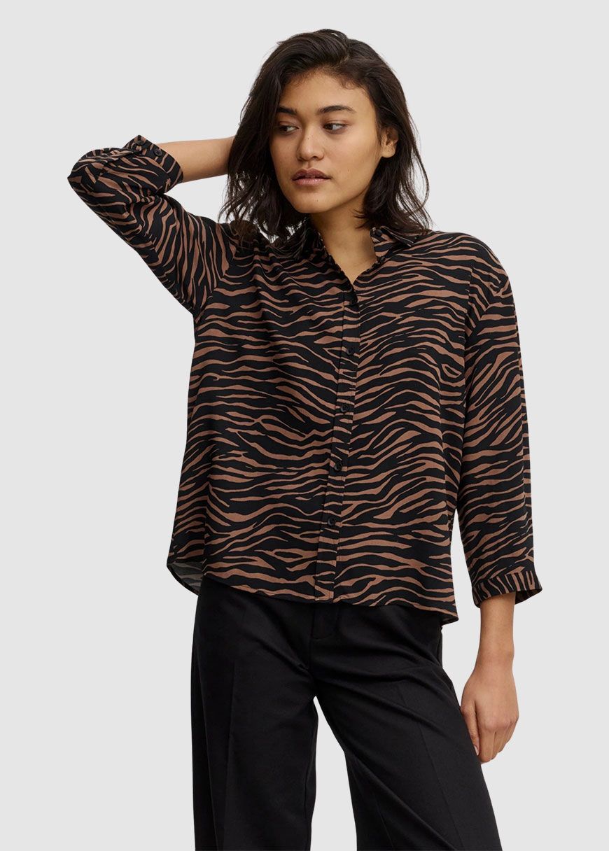 Cypress Zebra