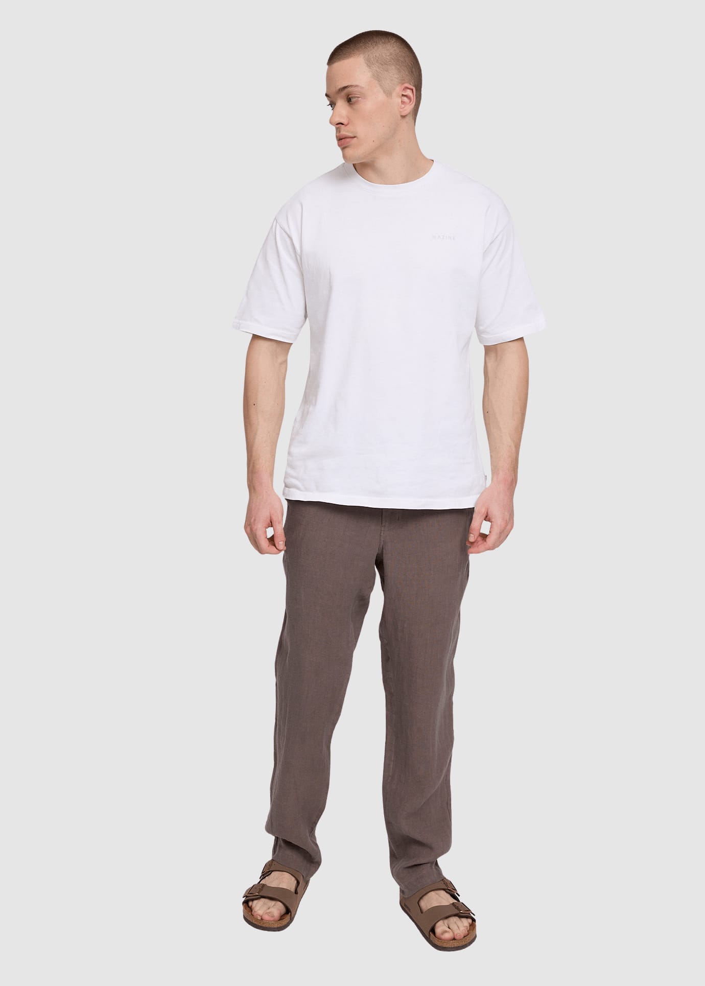 Regular Linen Pants Grey Brown