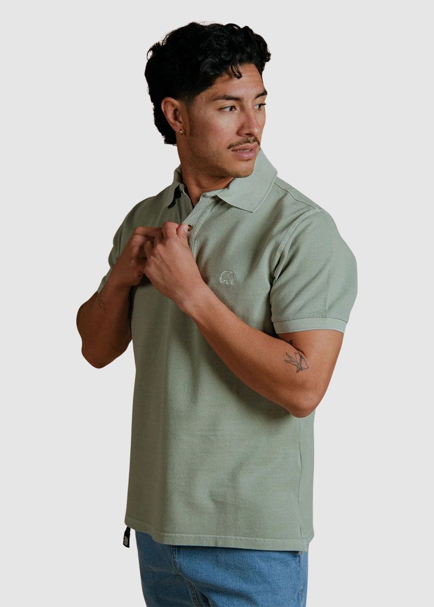 Essential Pigment Polo