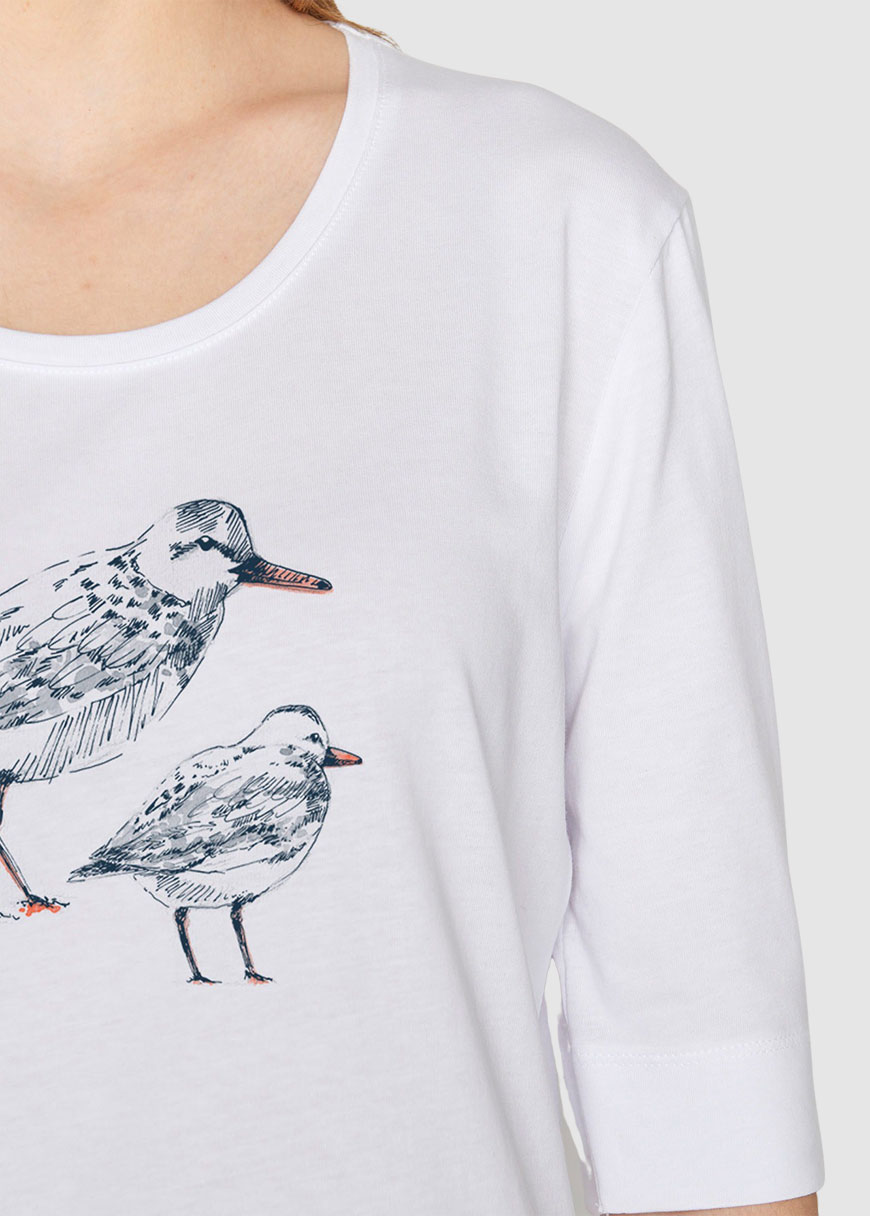 Animal Bird Friends Animal Bird Friends