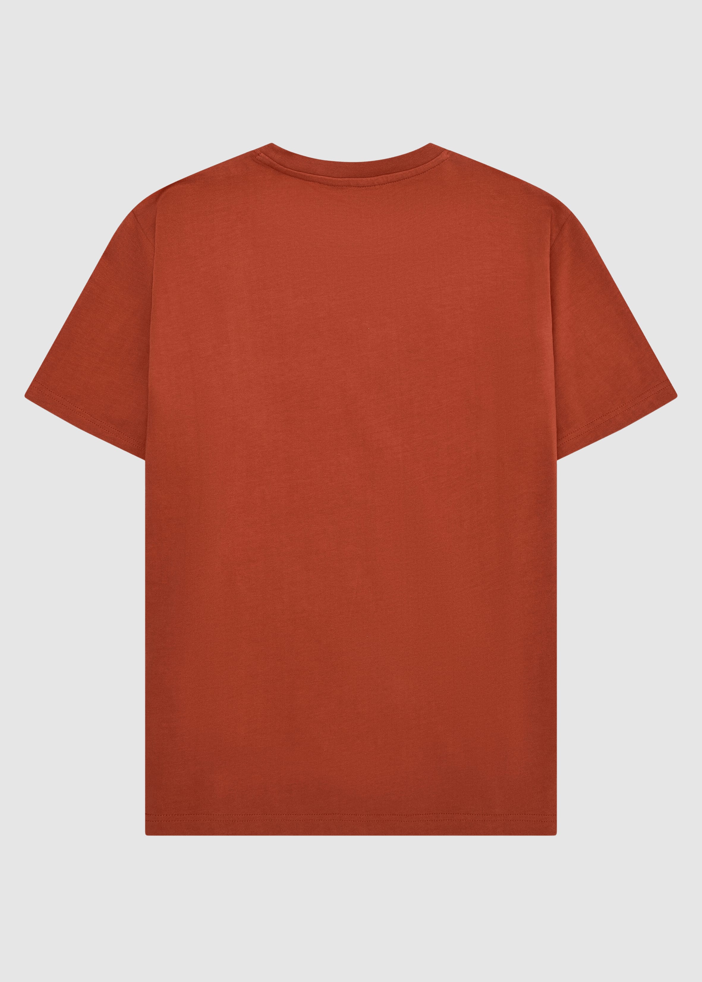 Badge T-Shirt Burnt Brick