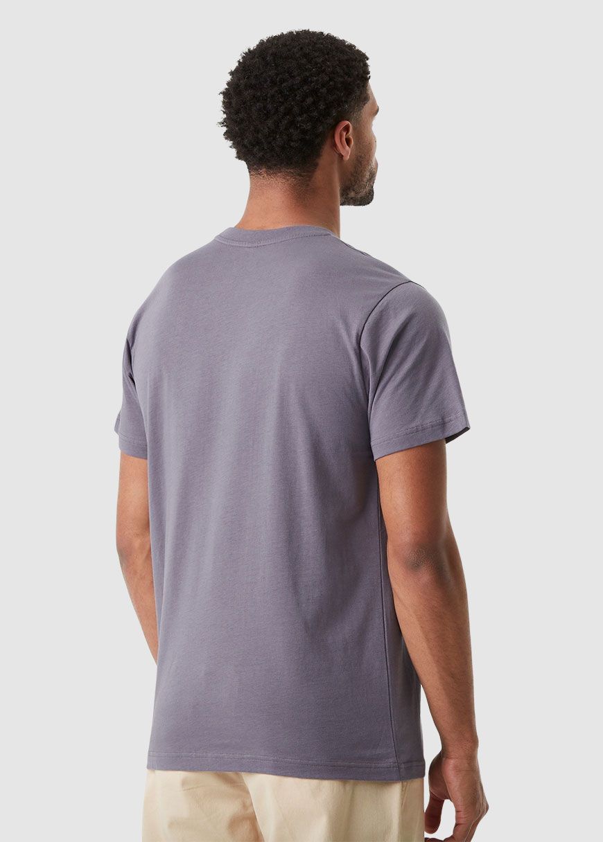 Basement Aster T