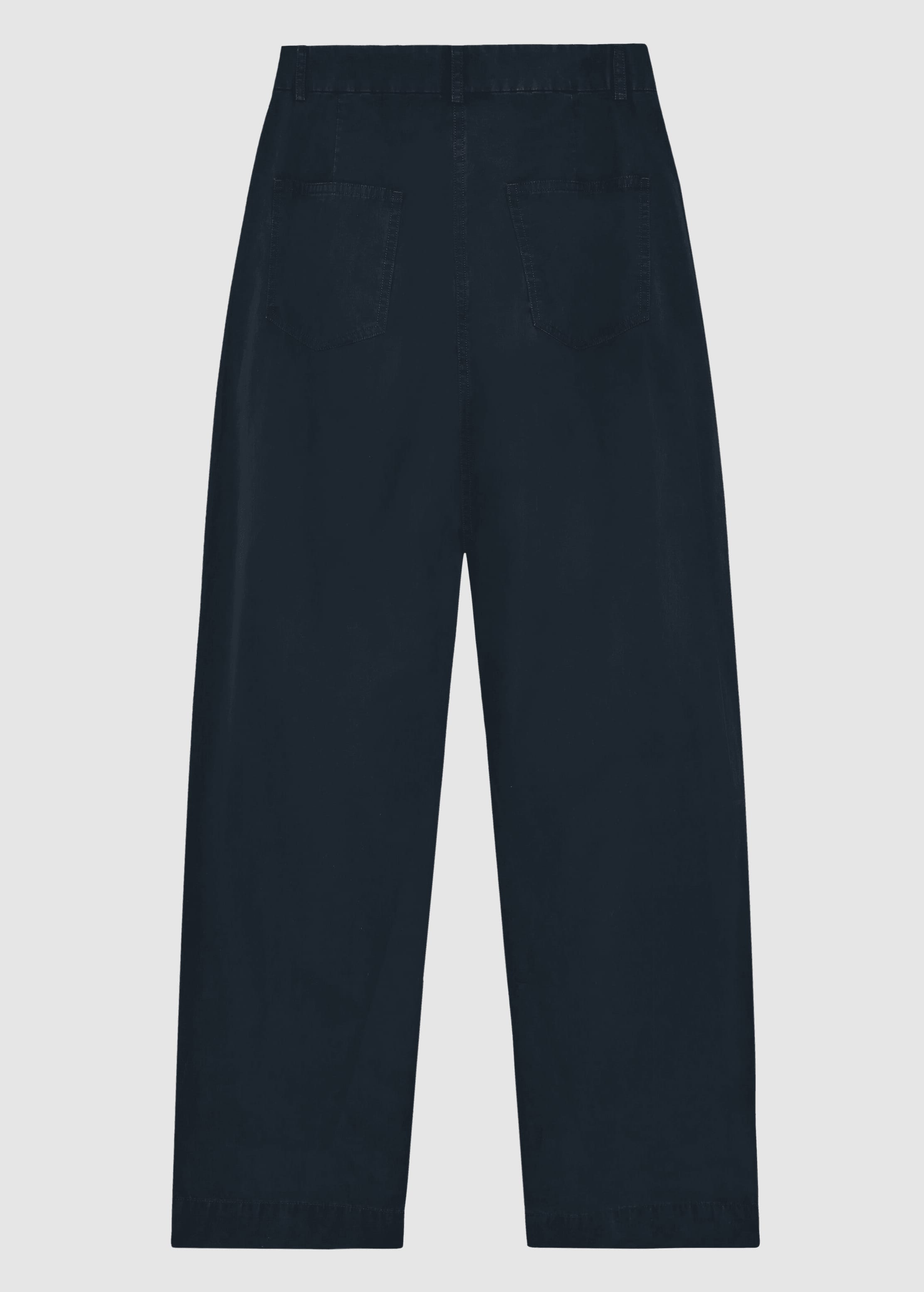 Poplin Pleat Pants Total Eclipse