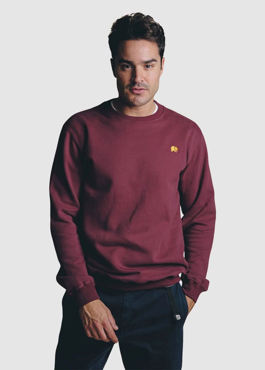 Organic Essential Sweater