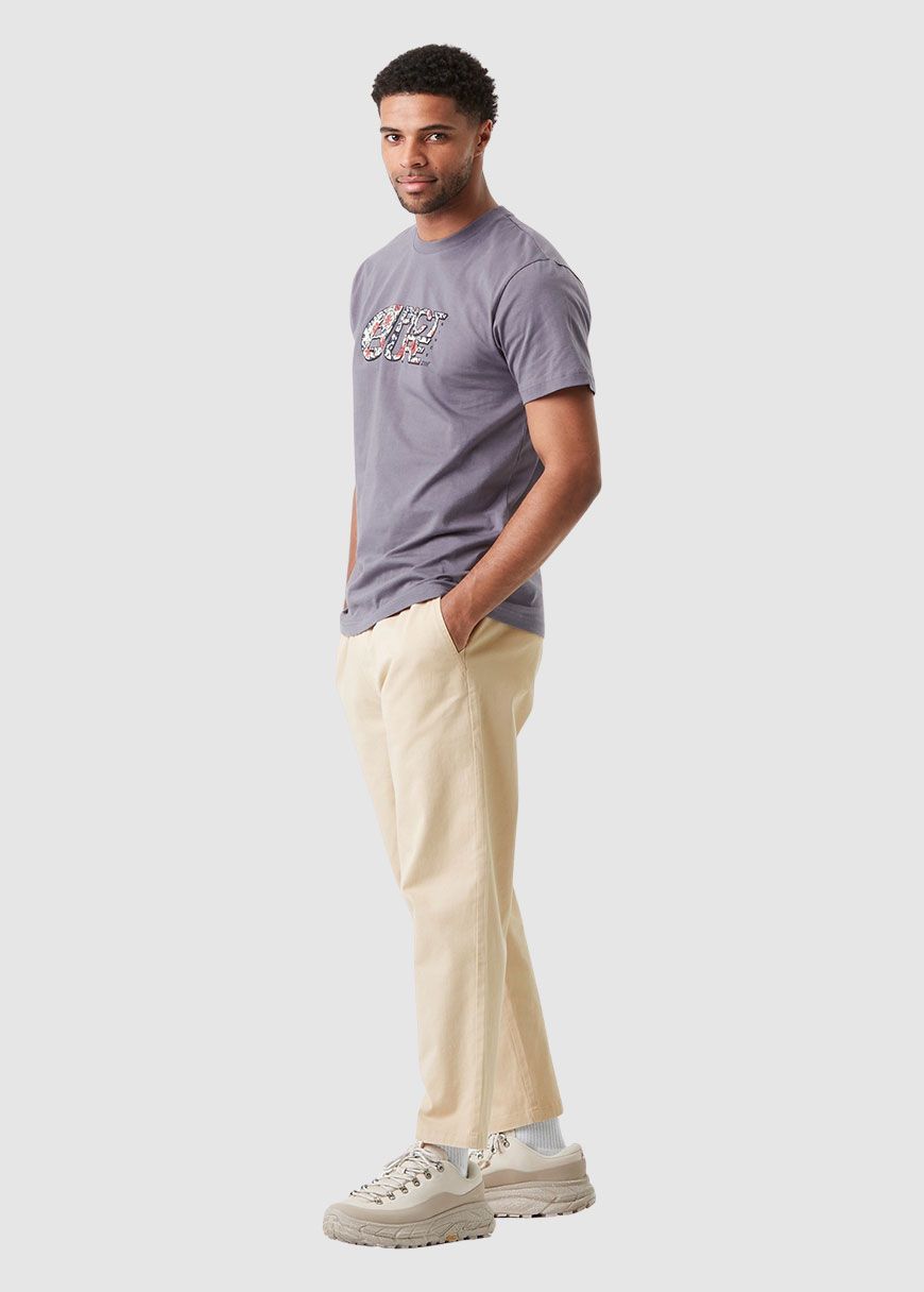 Basement Aster T