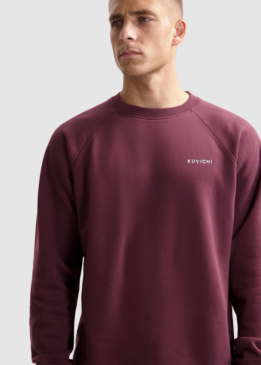 Randy Raglan Sweater