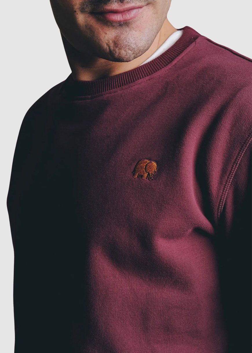 Organic Essential Sweater