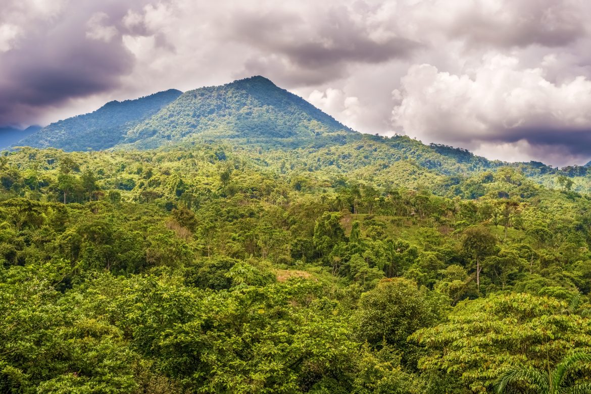 On Tour Mit GREENALITY: In The Jungle, The Mighty Jungle