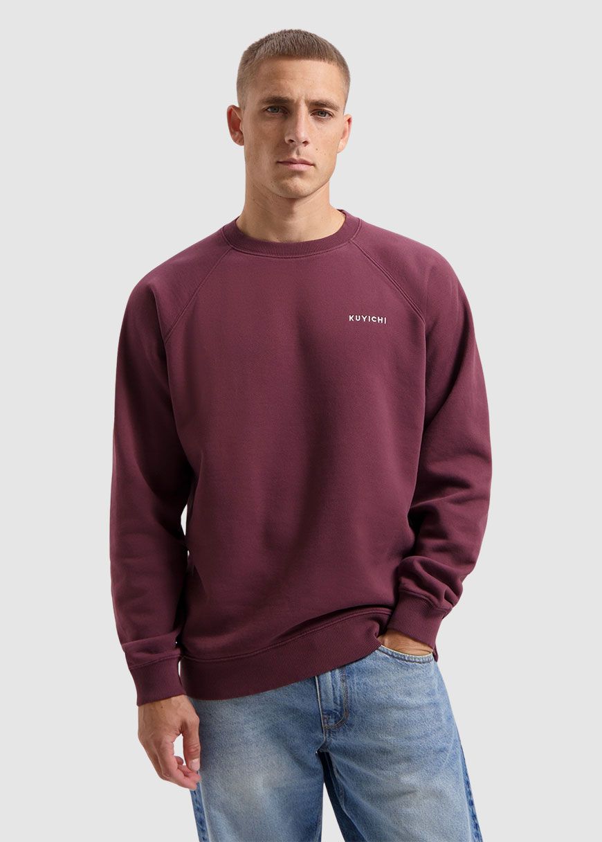 Randy Raglan Sweater Randy Raglan Sweater